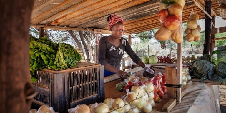 Le Botswana accélère la dépréciation de sa monnaie face à la crise économique Le Botswana accélère la dépréciation de sa monnaie face à la crise économique