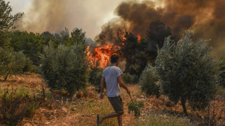 Turquie : un feu de forêt fait plusieurs victimes, dont des ouvriers et des secouristes